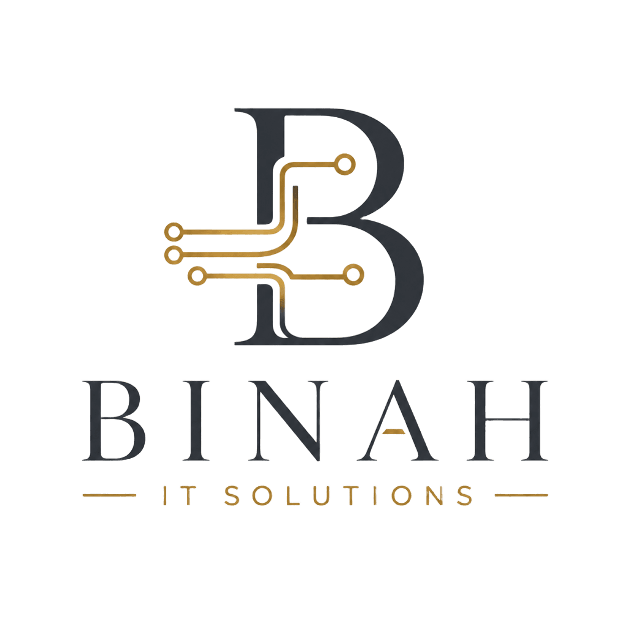 Logo Binah IT Solutions