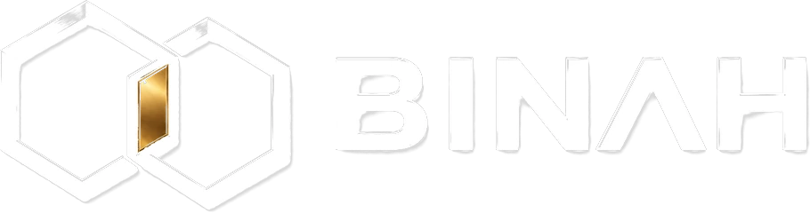 Binah IT Solutions